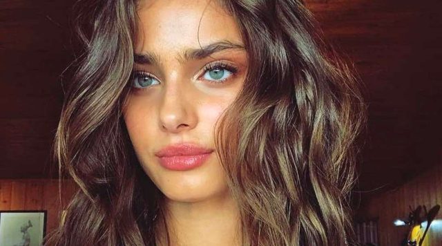 Taylor Hill